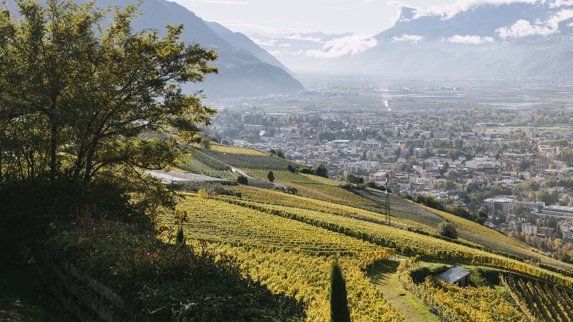 Ihr Urlaub mit Hund in Südtirol Ihr Urlaub mit Hund in Südtirol