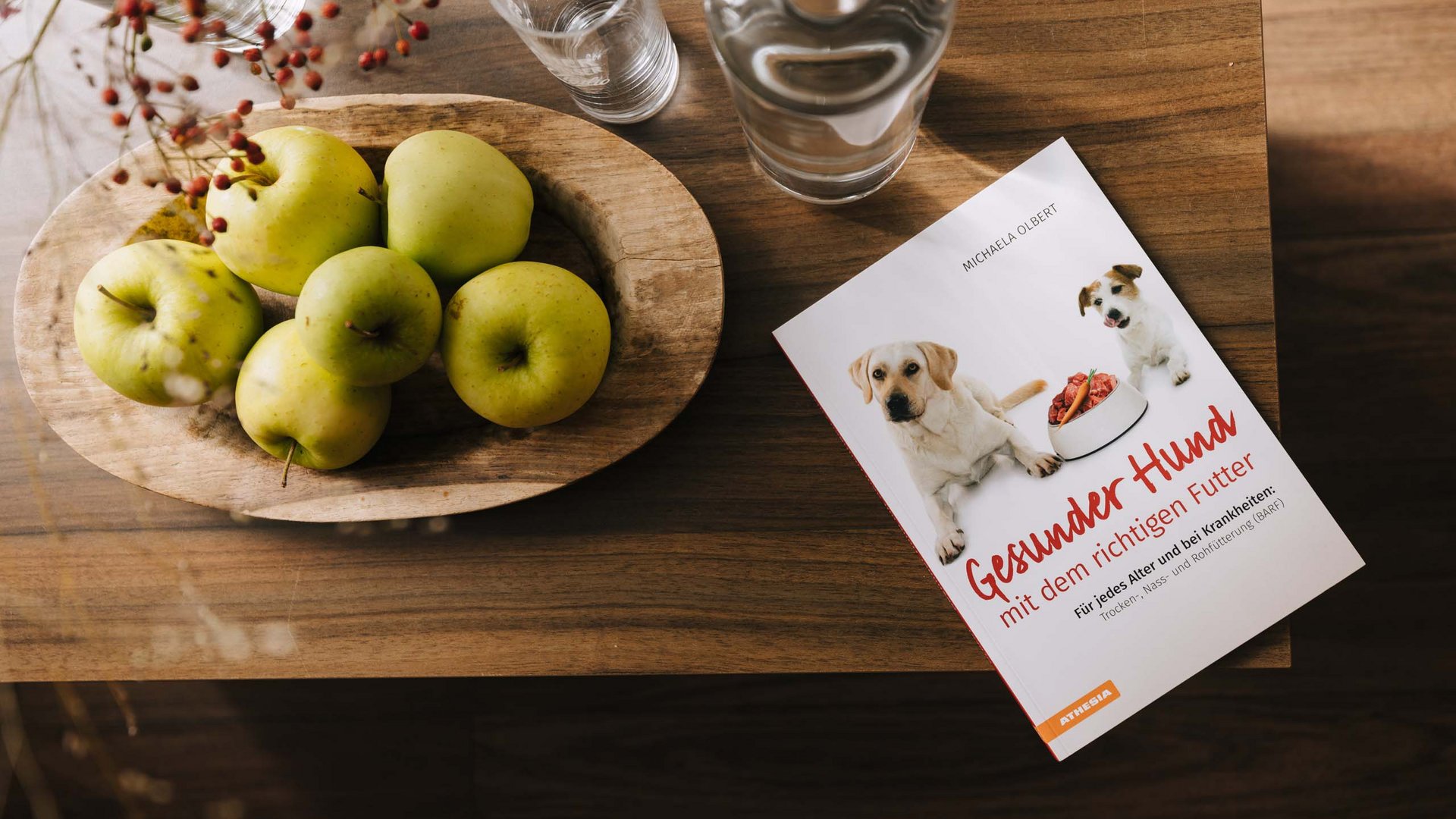 Ihr Urlaub mit Hund in Südtirol Ihr Urlaub mit Hund in Südtirol