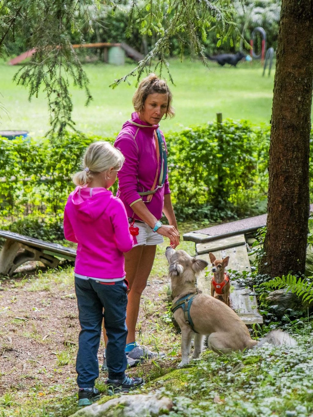 Ihr Urlaub mit Hund in Südtirol Ihr Urlaub mit Hund in Südtirol