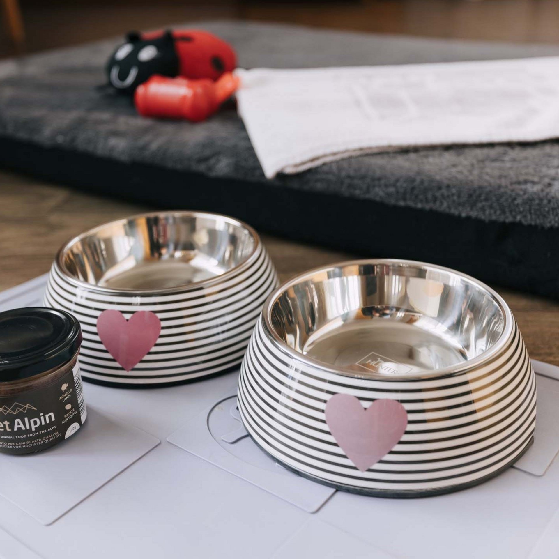 Ihr Urlaub mit Hund in Südtirol Ihr Urlaub mit Hund in Südtirol